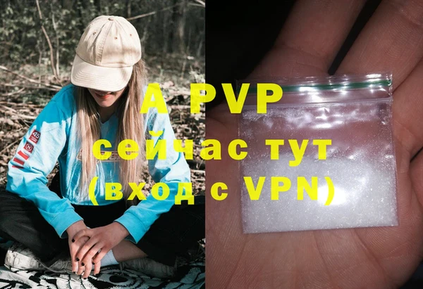 эйфоретик Покачи
