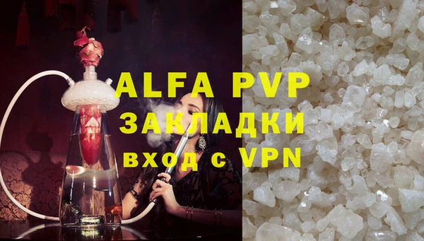 эйфоретик Покачи