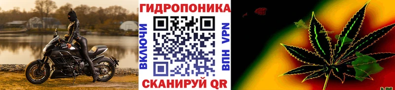 МАРИХУАНА White Widow  Купить  Ставрополь 